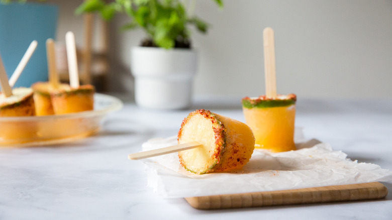 margarita popsicles arranged on table with potted plant in the back