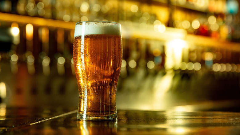 pint of beer sitting on a bar top