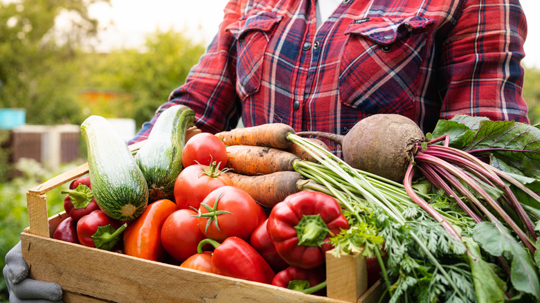Box of in-season produce on a farm