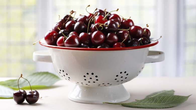 Dark red cherries in white colander