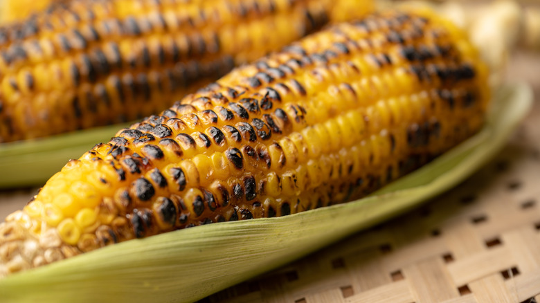 charred corn cob with half the husk still on