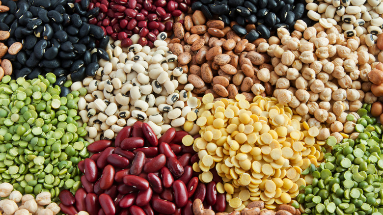 variety of dried beans
