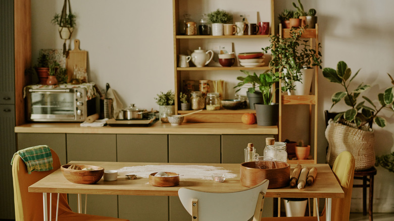 Modern kitchen with various plants displayed on shelves and a wooden counter cluttered with baking ingredients and tools