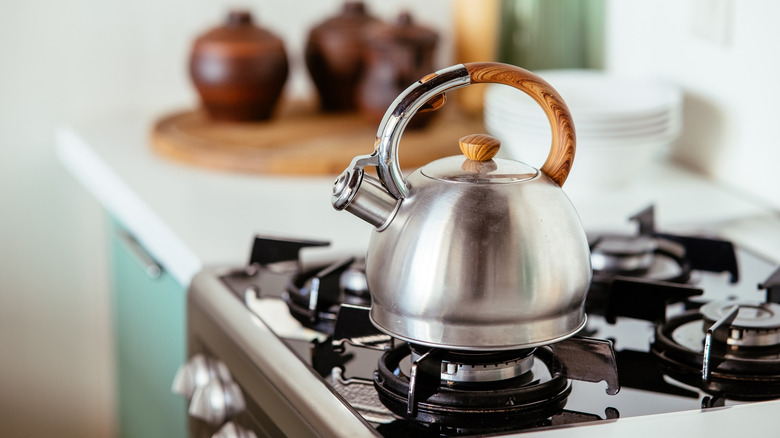 Retro whistling kettle on gas stovetop