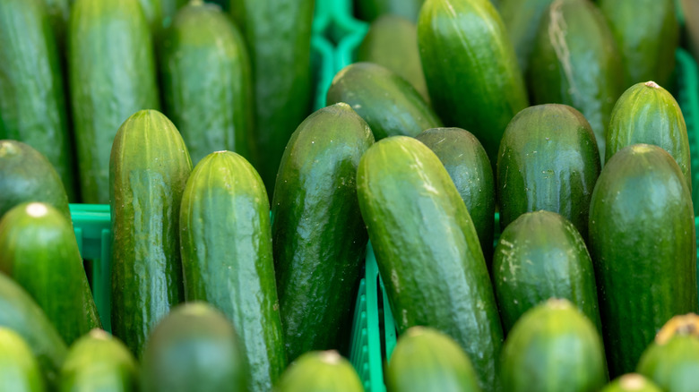 Close-up of a basket of mini cucumbers