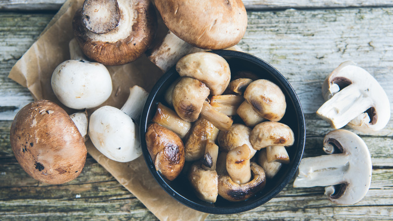 variety of mushrooms on wooden surface