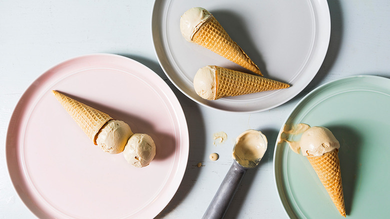Vegan Salted Caramel Ice Cream