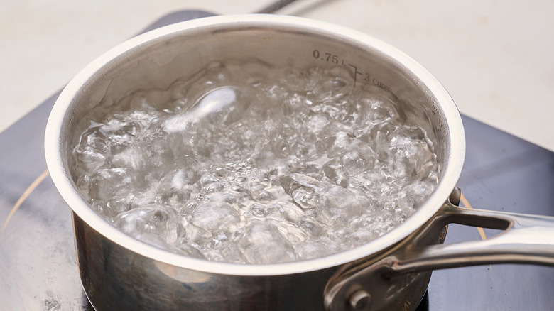 boiling water in a saucepan