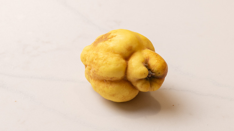 fall white wine spritzer